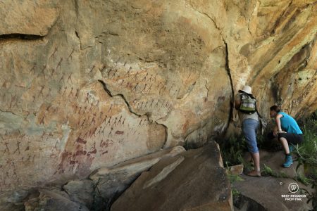 Drakensburg Rock Art Day Tour